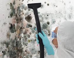 Professional Mold Removal in Converse, TX